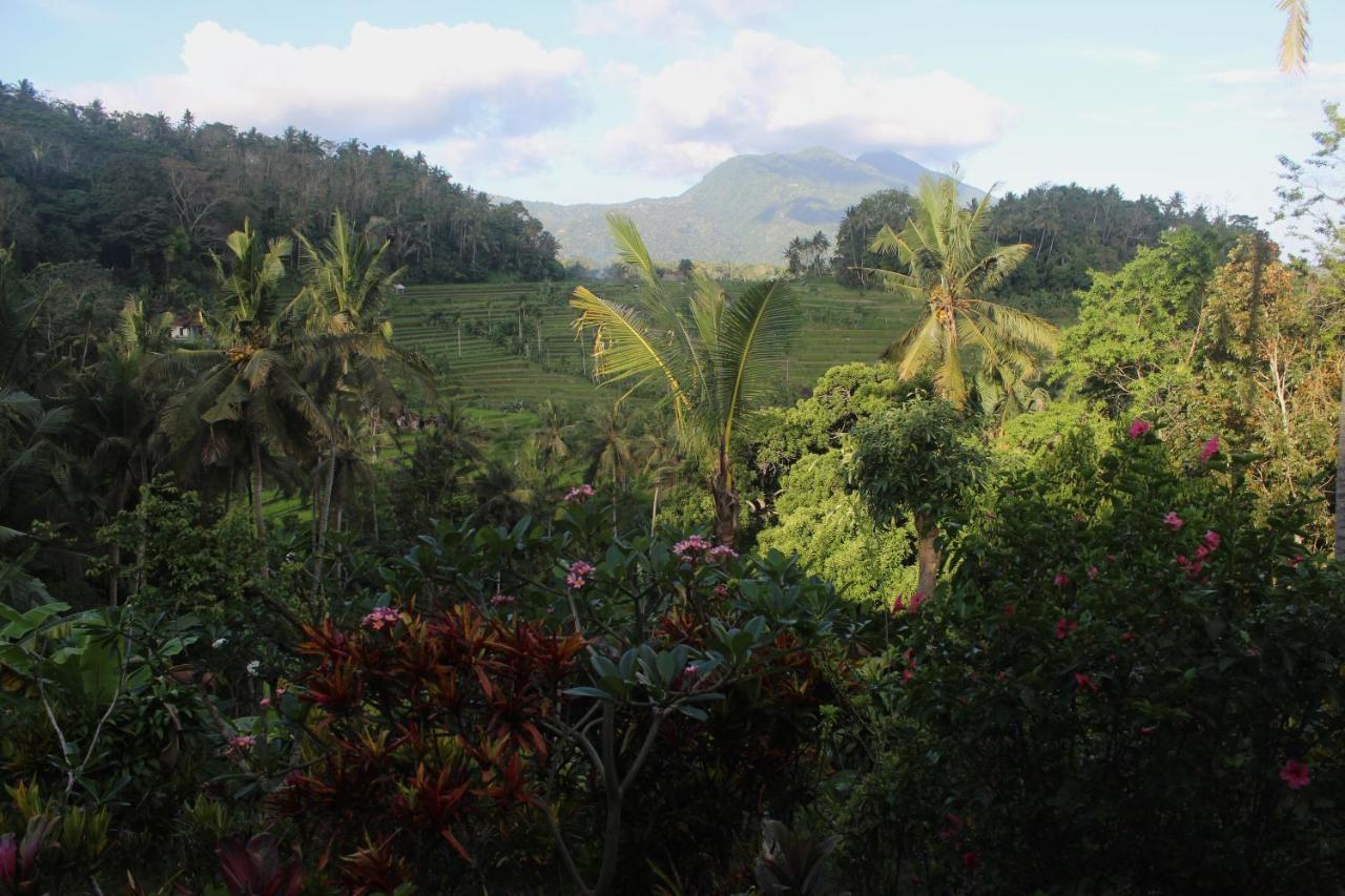 Pondok Lembah Dukuh Homestay Karangasem Esterno foto