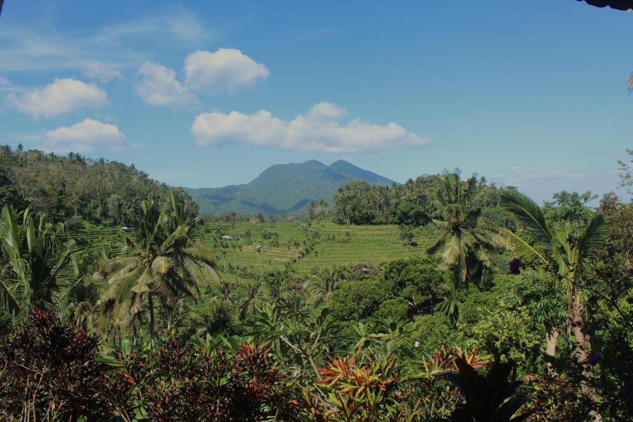 Pondok Lembah Dukuh Homestay Karangasem Esterno foto