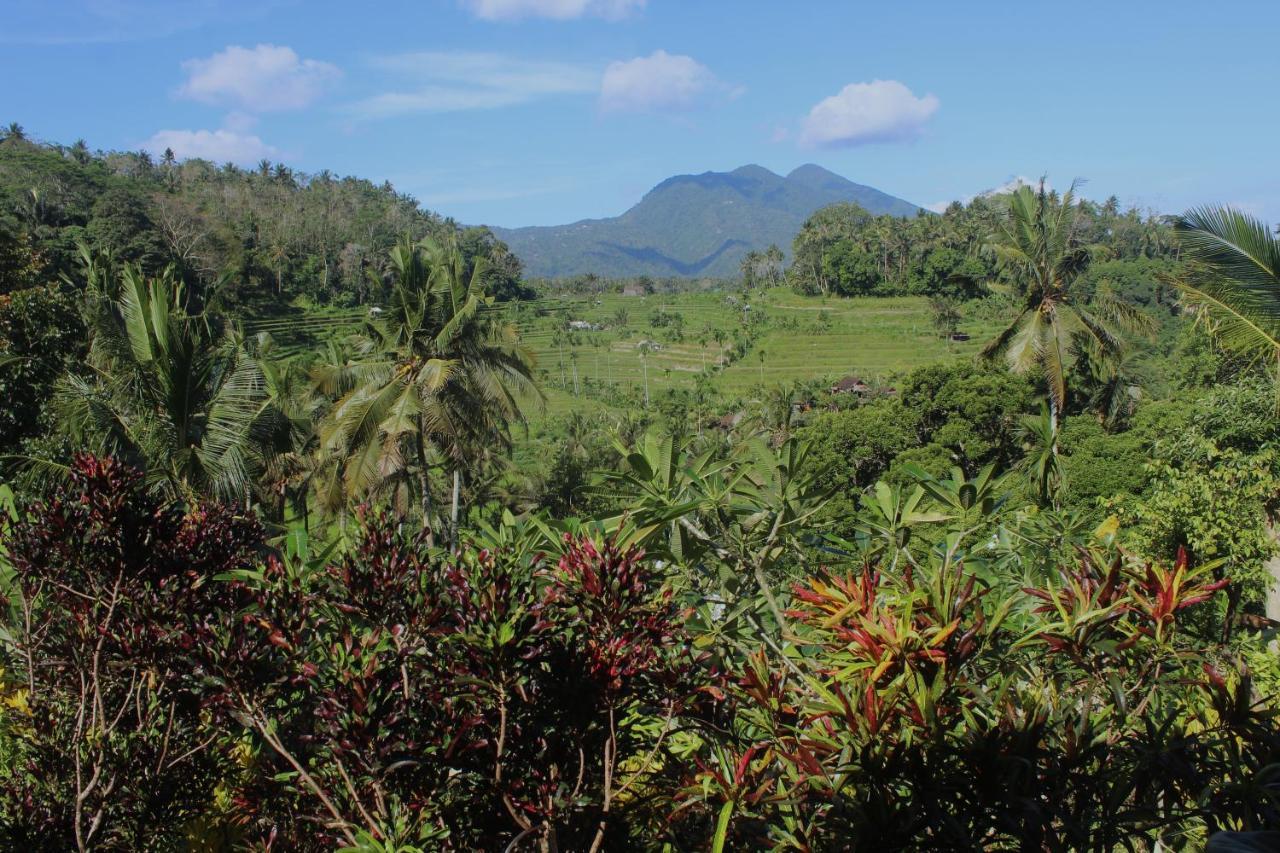 Pondok Lembah Dukuh Homestay Karangasem Esterno foto