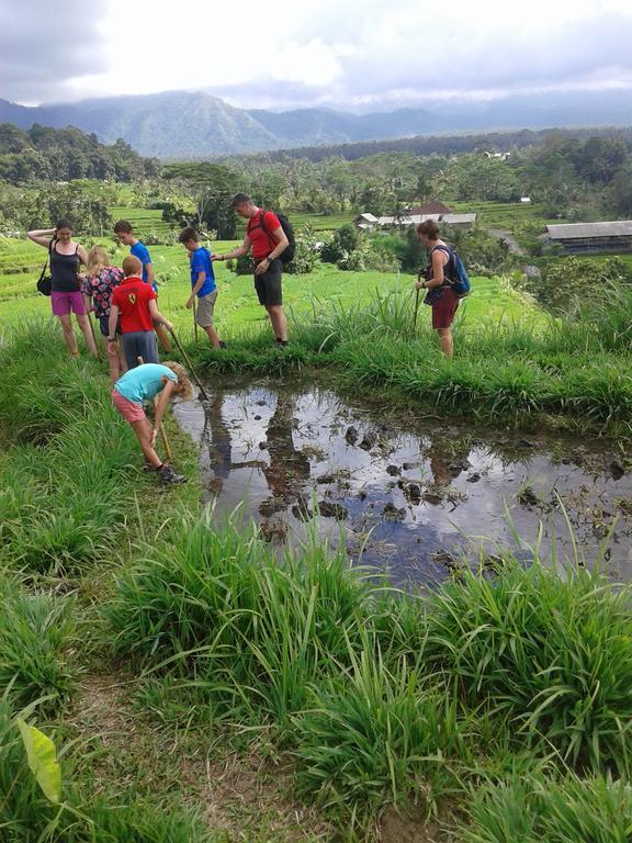 Pondok Lembah Dukuh Homestay Karangasem Esterno foto